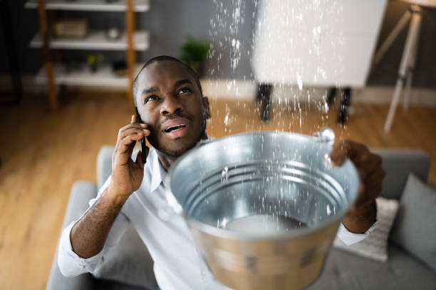 Best Flooded house restoration  in Kirtland, OH