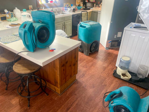 Best Local water damage restoration  in Kirtland, OH