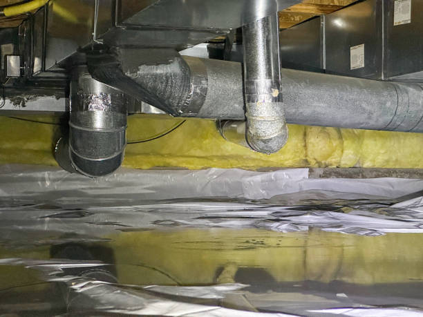 Best Flood restoration services  in Kirtland, OH