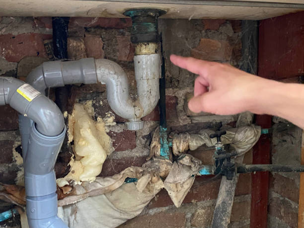 Best Water damage restoration company  in Kirtland, OH